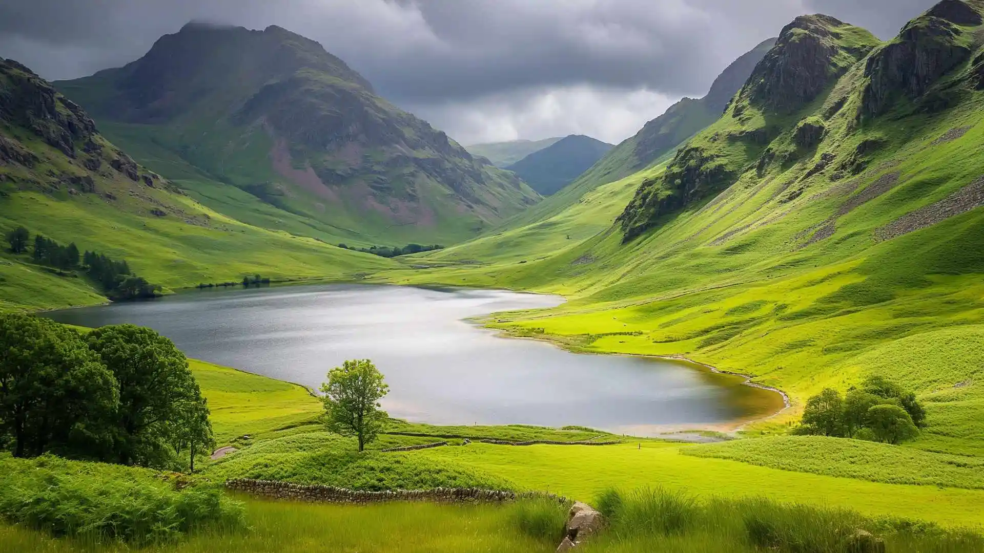 Explore Mysore and Wayanad Tour - Image 3