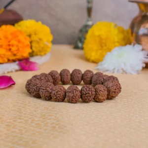 7 Mukhi Rudraksha Bracelet